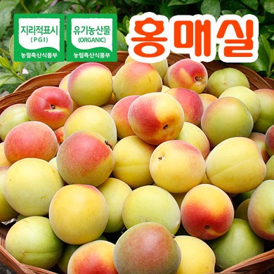 [왕~왕왕특품] 유기농인증 광양 다압 남고 홍매실 10KG